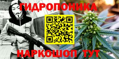 кокаин колумбия Кингисепп