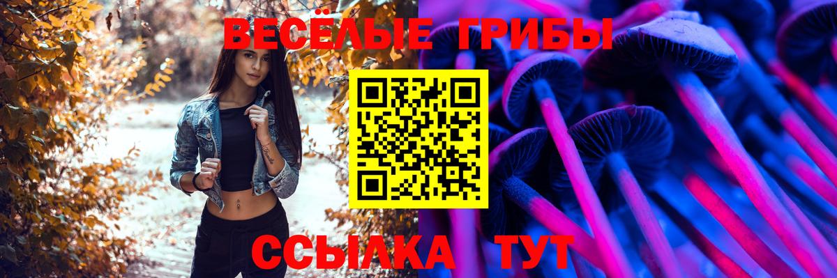 Псилоцибиновые грибы Psilocybe Кашира
